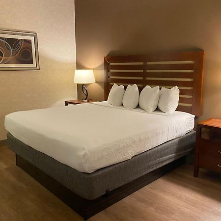 Wyndham Garden Grand Rapids Airport Hotel Cascade Exterior foto